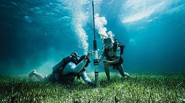 Student doing underwater research on sharks.